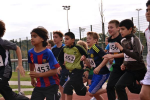 Cross-Country Lauf_01