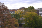 herbst_07