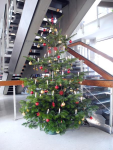 2.12.13 der Weihnachtsbaum ist da 