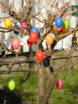 Frohe Ostern!