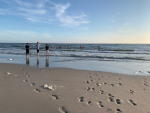 Amrum 2019 - Strand