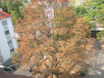 herbst_09